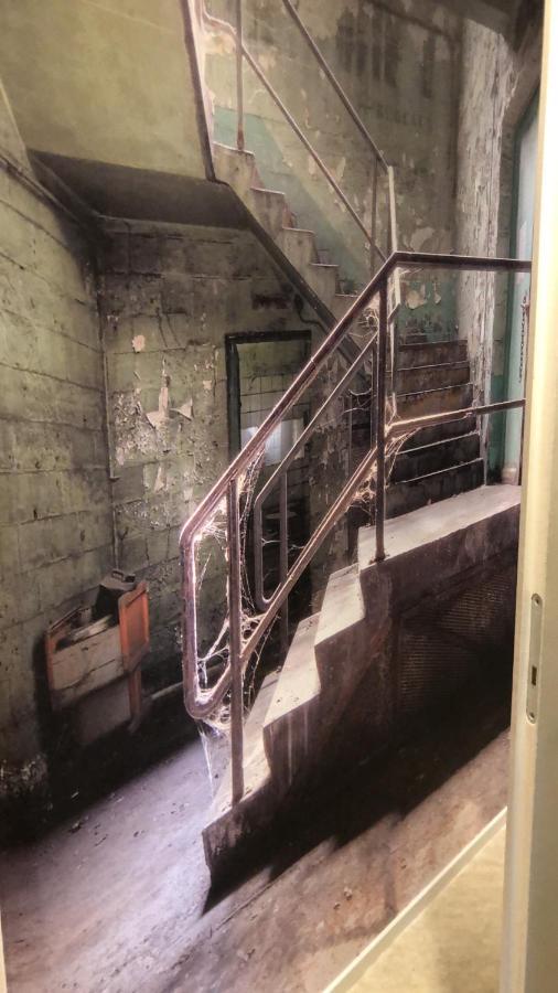 Chalet Albatros Diever Dış mekan fotoğraf
